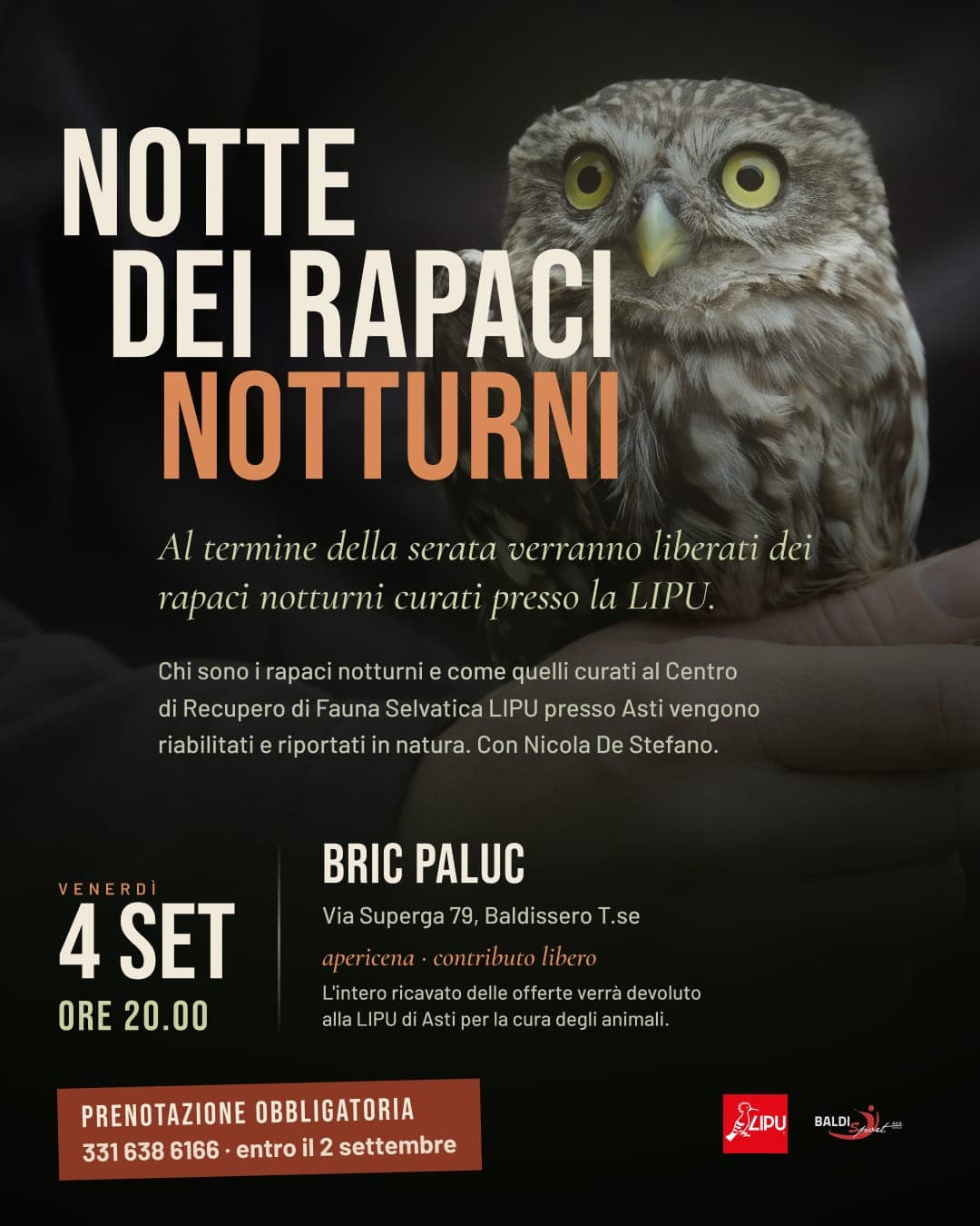 La Notte dei Rapaci Notturni